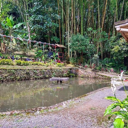 Finca Turistica Los Rosales Pereira Exterior foto