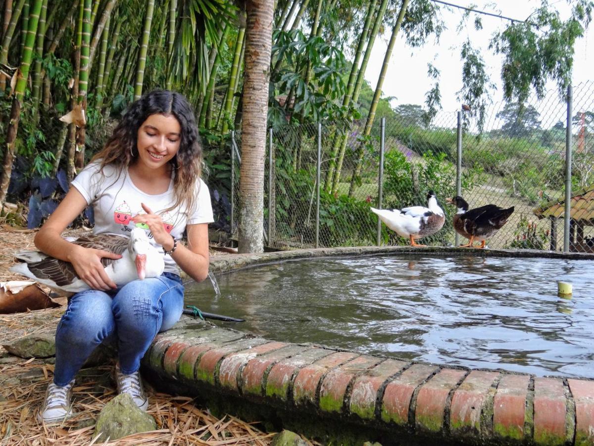 Finca Turistica Los Rosales Pereira Exterior foto